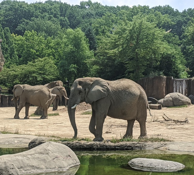cleveland-metroparks-zoo-photo